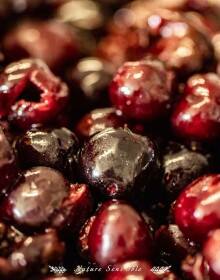 Valorisation de fruits – Photo packshot