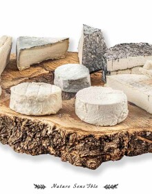 Valorisation de la gamme de fromage des Chèvres d’Olt- Photo packshot