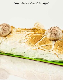 Valorisation d’une bûche glacée artisanale de la ferme des RIEU – Photo packshot