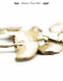 Valorisation de Champignons cèpes séchés – Photo packshot