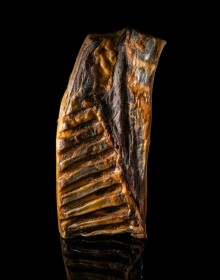 Packshot - Travers de porc Cul Noir du Limousin - Ecusson Noir