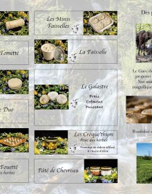 Dépliants pour producteur de fromage de chevre gaec du gal astre nord lozere – création graphique, design, communication