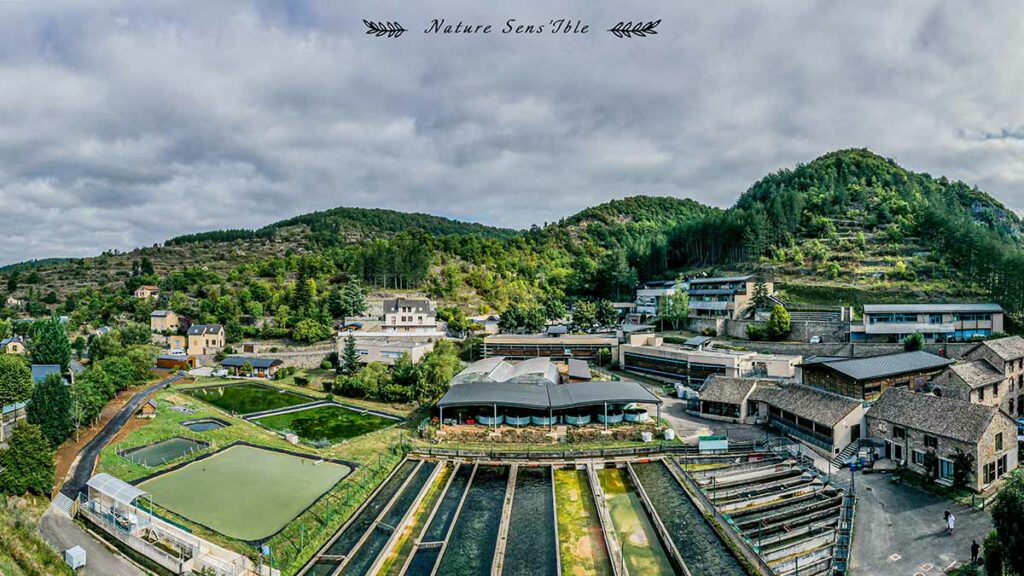 panoramique pisciculture de saint Frézal – Photo reportage paysage