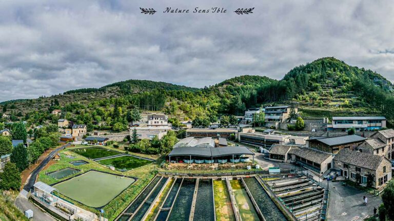panoramique pisciculture de saint Frézal – Photo reportage paysage