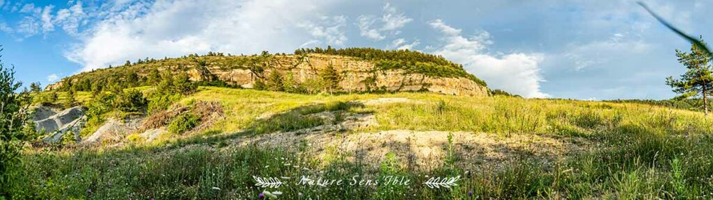 panorama d’été – Photo reportage paysage