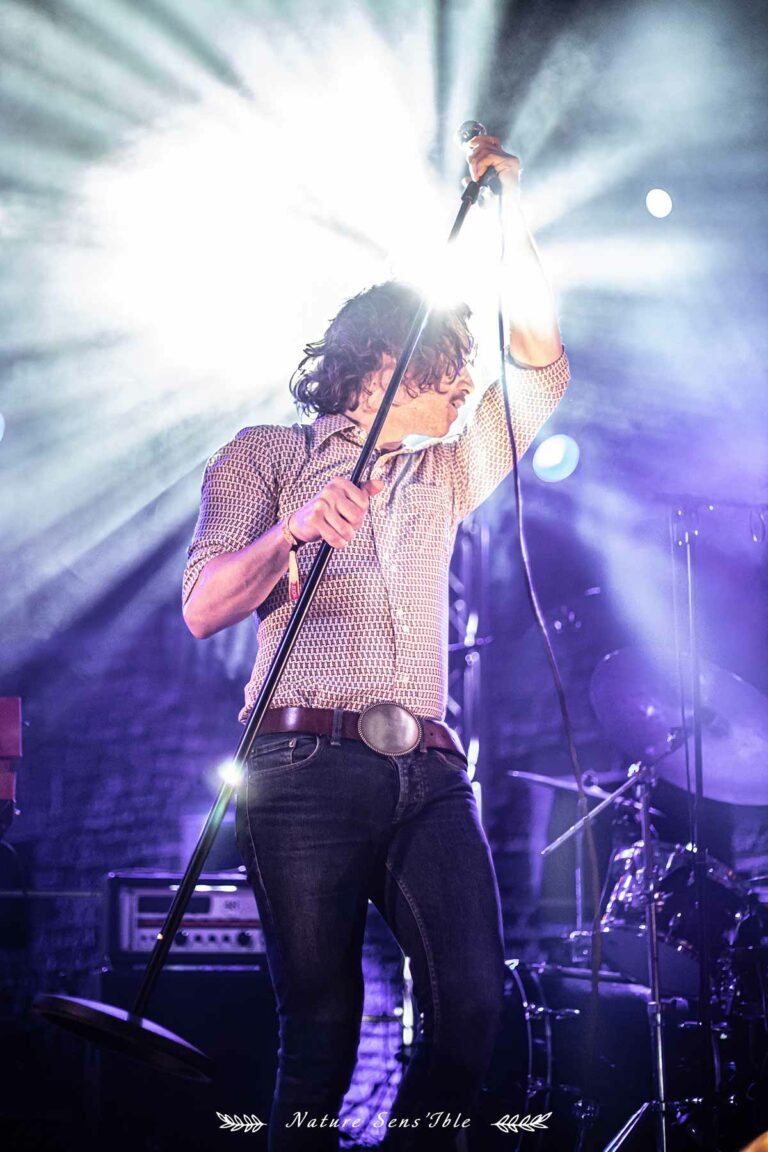 Chanteur durant un concert au MarveLoz’ Pop Festival – Photo reportage professionnel