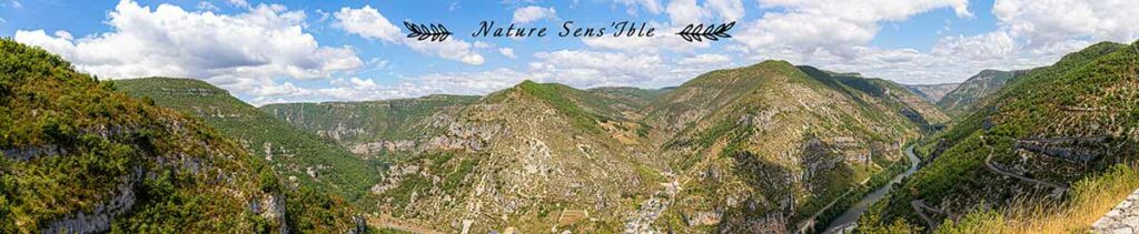 Panoramique gorge du Tarn – Photo reportage paysage