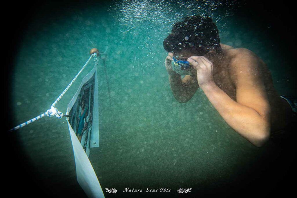 Photo aquatique pour exposition sous marine – Photo reportage professionnel