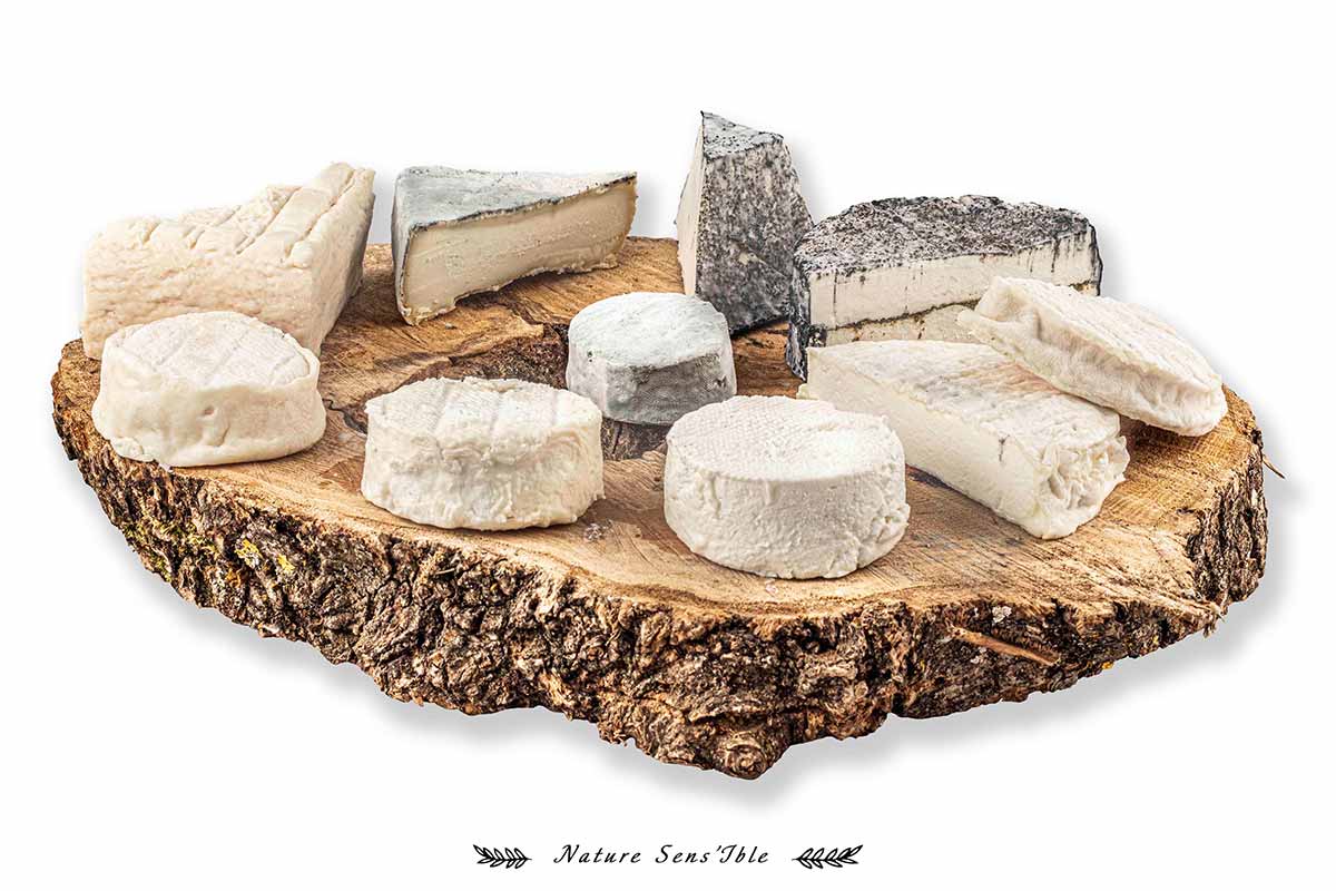Valorisation de la gamme de fromage des Chèvres d’Olt- Photo packshot