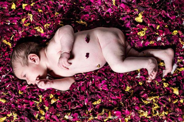 Photo bébé dans pétale de rose – Portrait studio