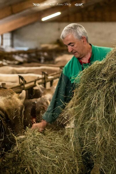 Portrait d’un agriculteur donnant le foin à ses vaches – Photo shooting extérieur