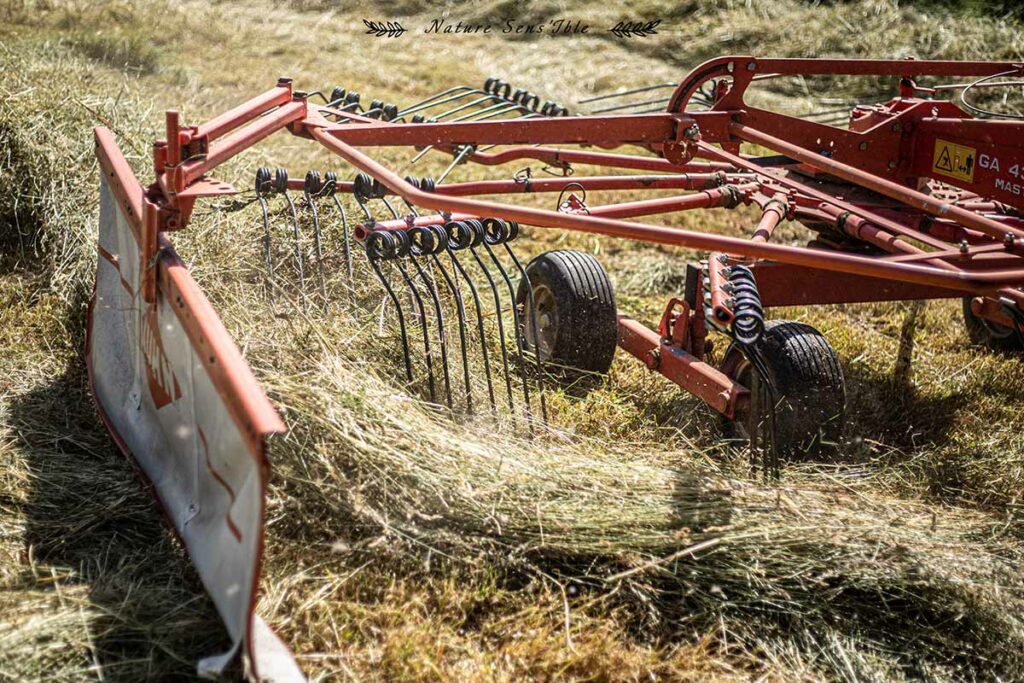 Préparation du foin pour l’hiver – Photo reportage professionnel